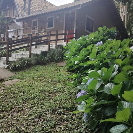 Casa Aconchegante Na Serra. Санту-Антоніу-ду-Піннял Екстер'єр фото